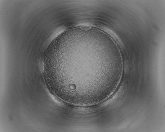 X0000110871241200906181155