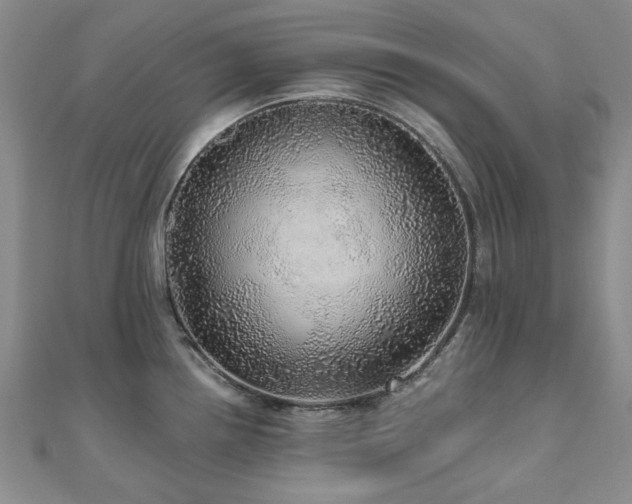 X0000110871242200906181155