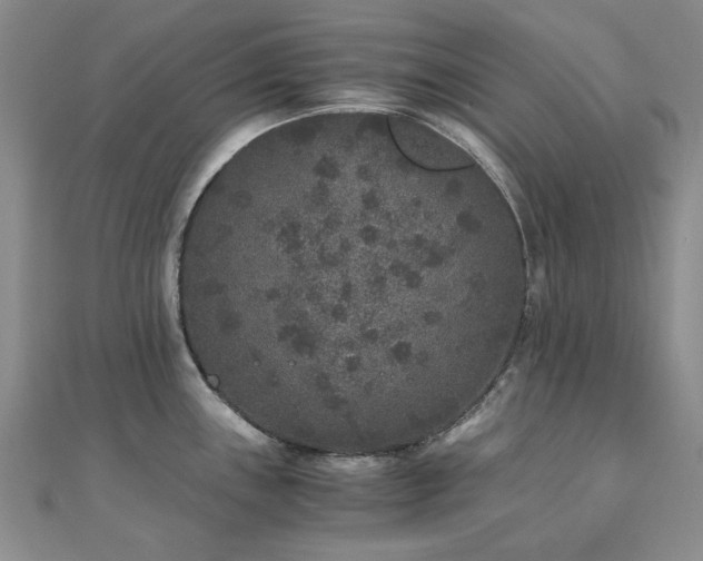 X0000110871243200906181155