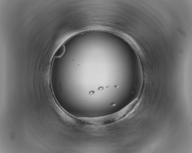 X0000110871244200906181155