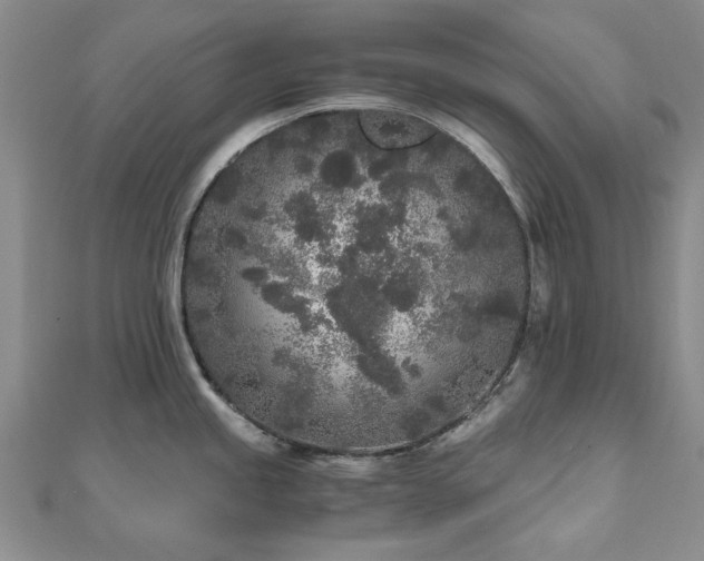 X0000110871245200906181155