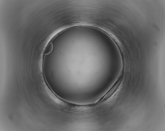 X0000110871246200906181155