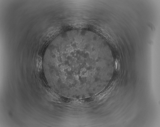 X0000110871251200906181155