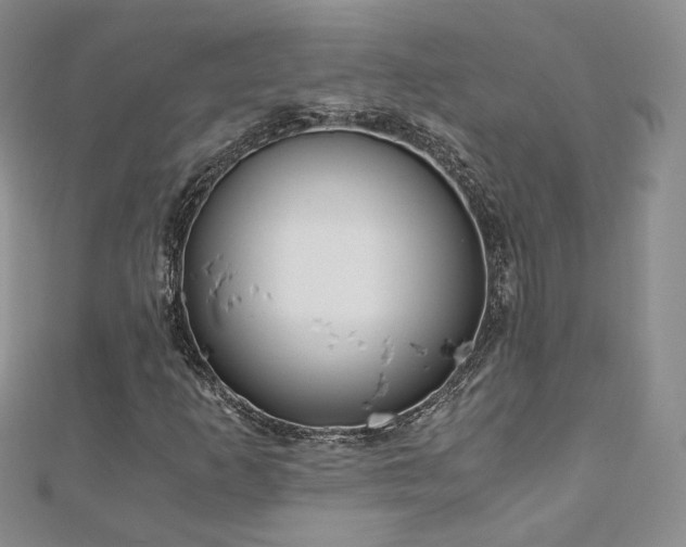 X0000110871253200906181155