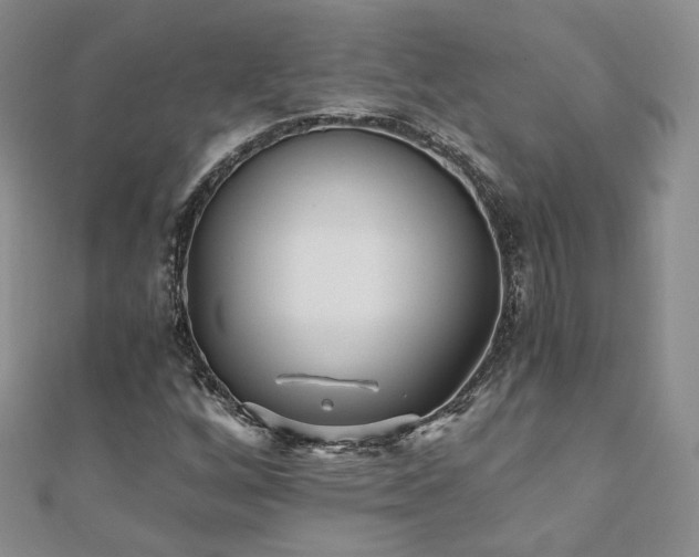 X0000110871256200906181155