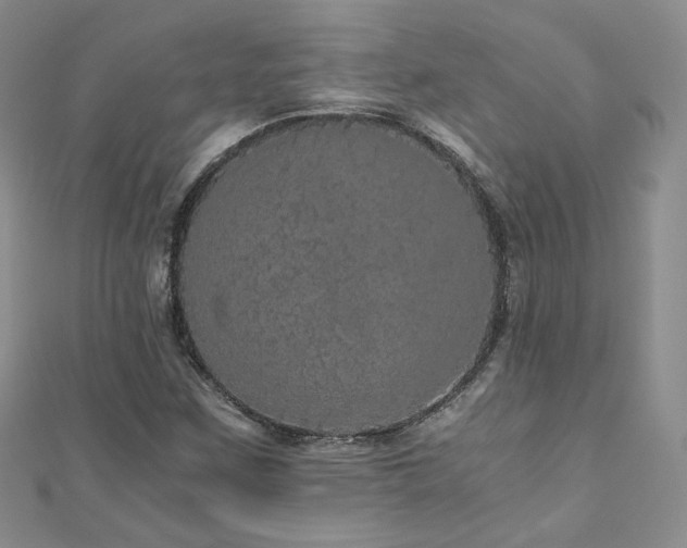 X0000110871259200906181155