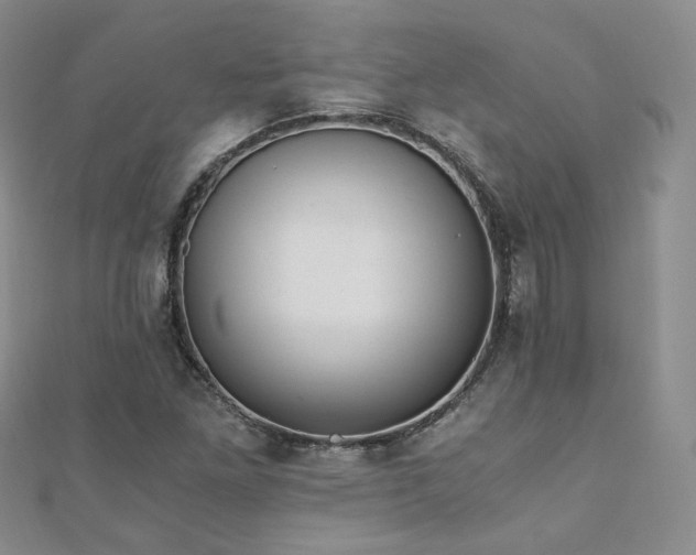 X0000110871261200906181155