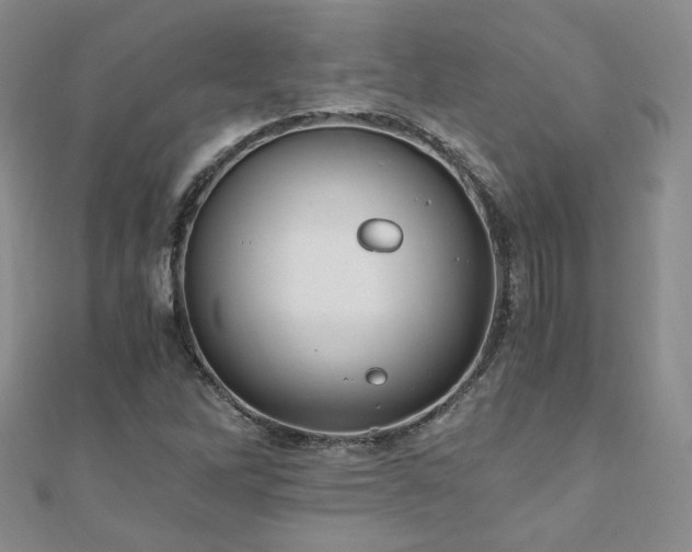 X0000110871262200906181155