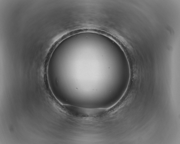 X0000110871264200906181154