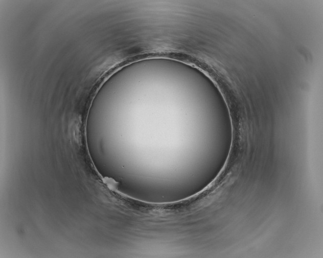 X0000110871265200906181154