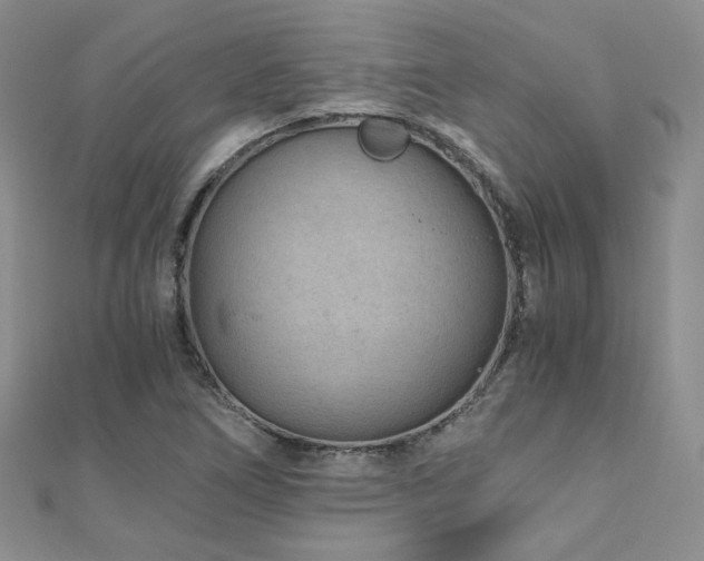 X0000110871266200906181154