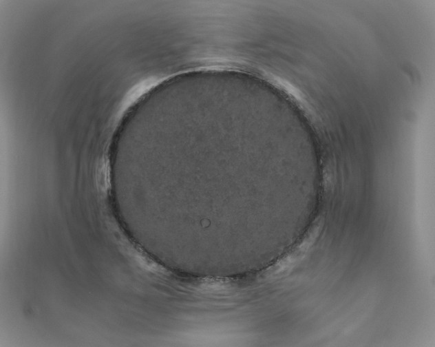 X0000110871267200906181154