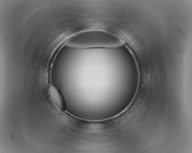 X0000110871268200906181154