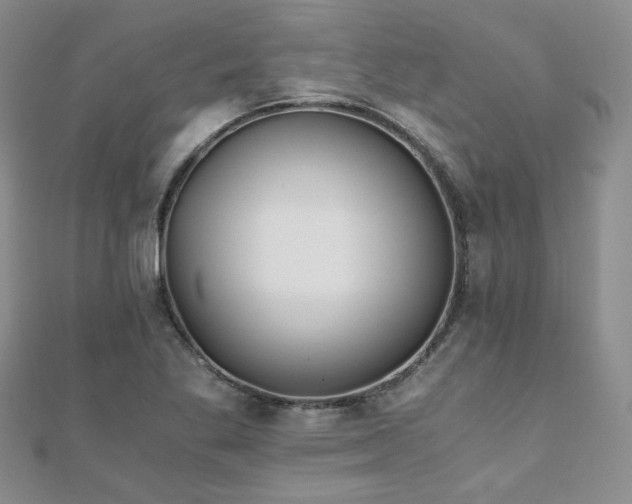 X0000110871269200906181154