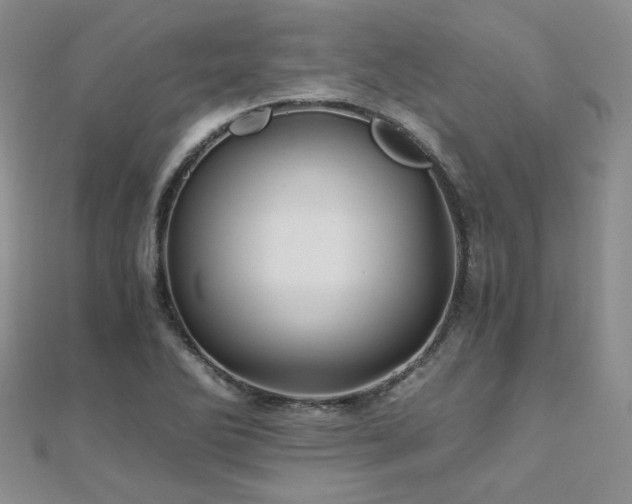 X0000110871270200906181154