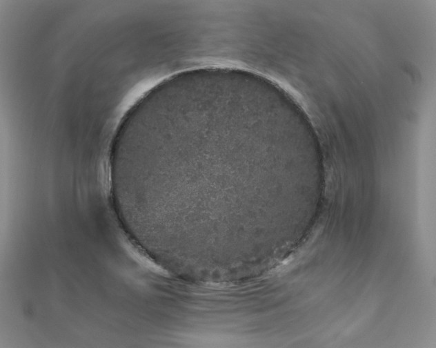 X0000110871271200906181154