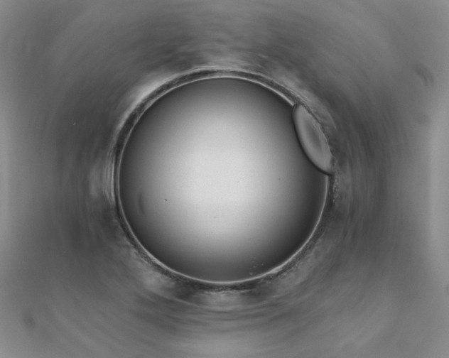 X0000110871272200906181154