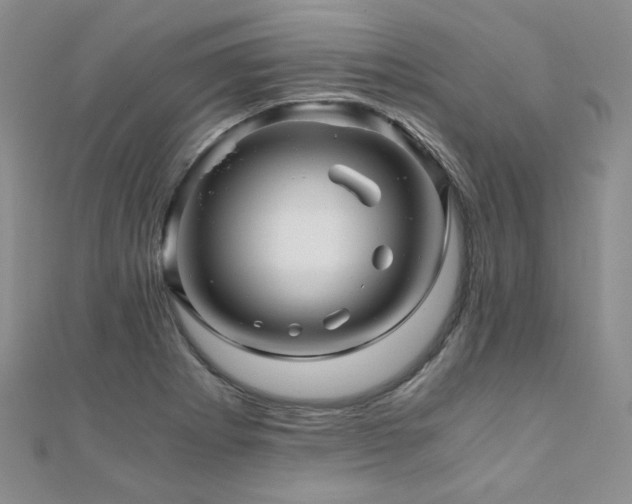 X0000110871273200906181154