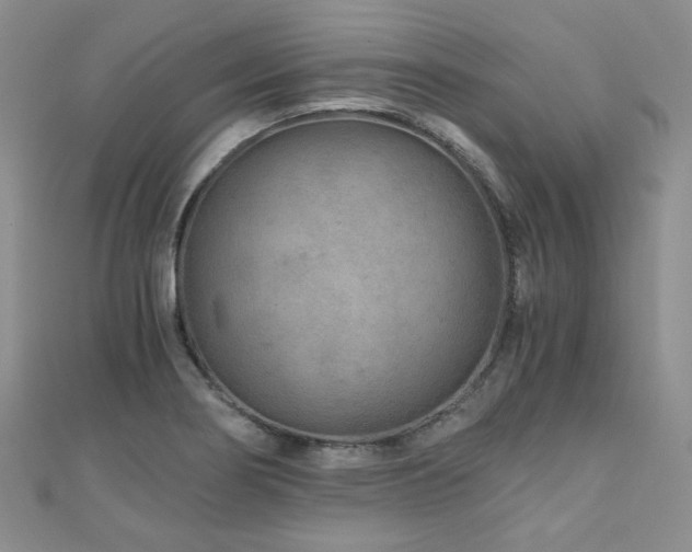 X0000110871274200906181154