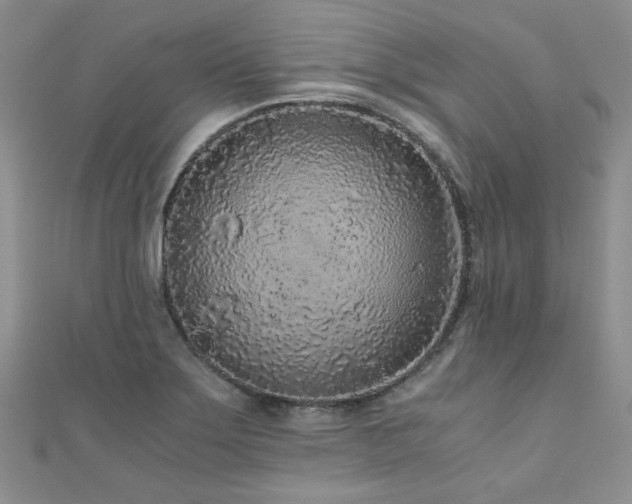 X0000110871275200906181154