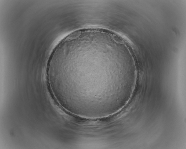 X0000110871279200906181154