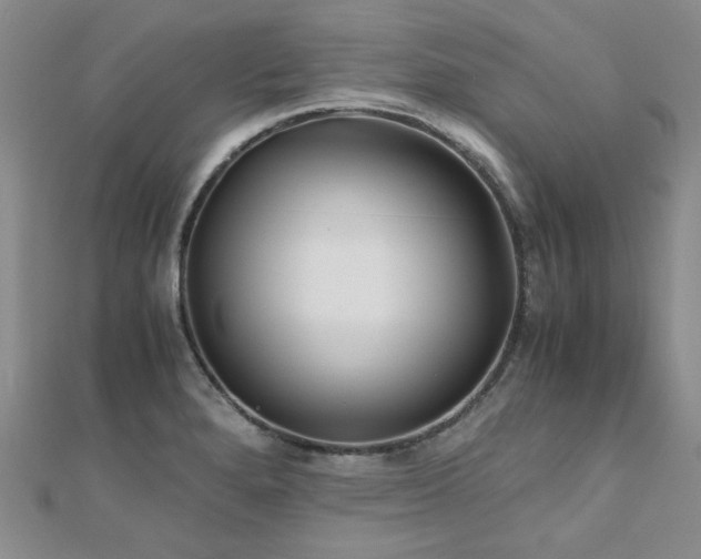 X0000110871280200906181154