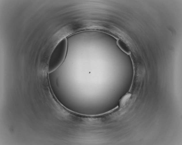 X0000110871281200906181154