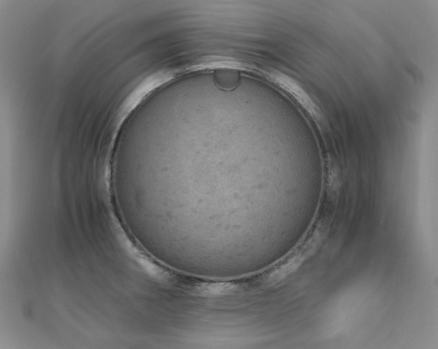 X0000110871282200906181154