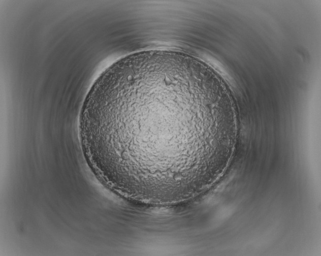 X0000110871283200906181154