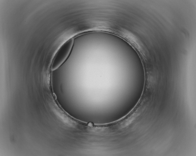 X0000110871284200906181154