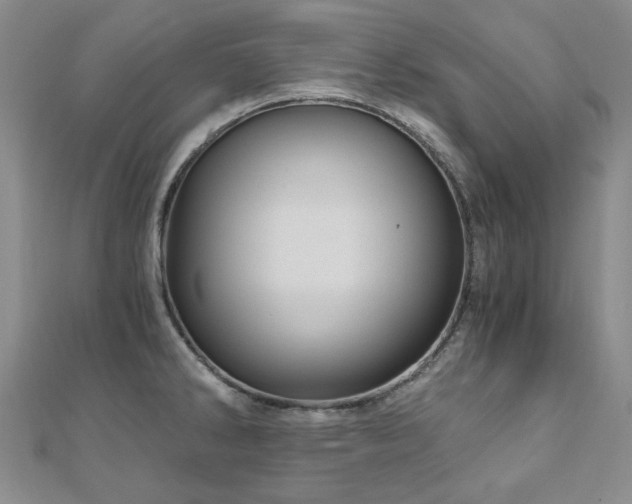 X0000110871286200906181154