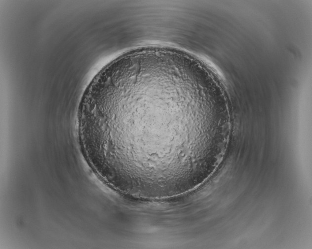 X0000110871287200906181154