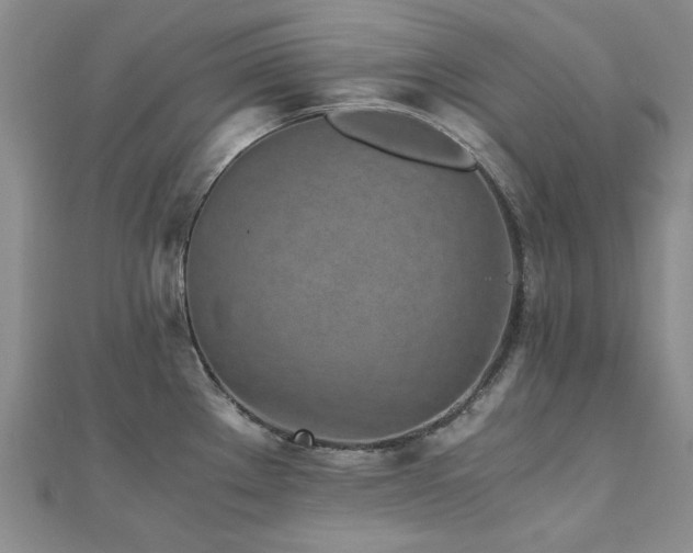 X0000110871289200906181154