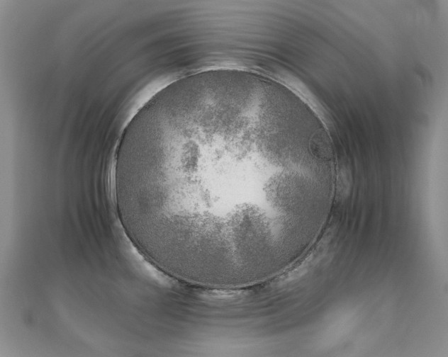 X0000110871290200906181154