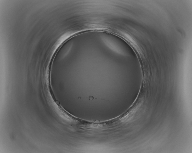 X0000110871291200906181154