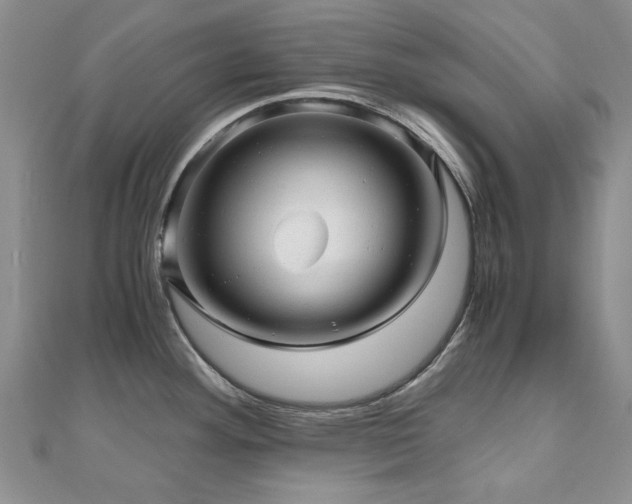 X0000110871292200906181154