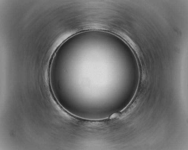 X0000110871293200906181154