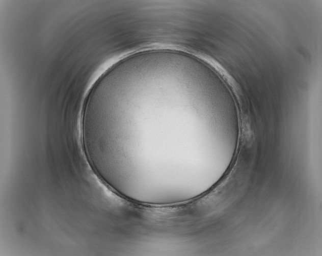 X0000110871294200906181154