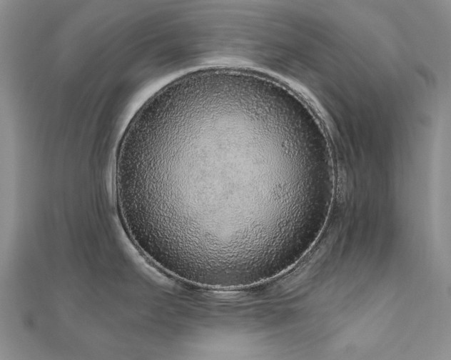 X0000110871295200906181154