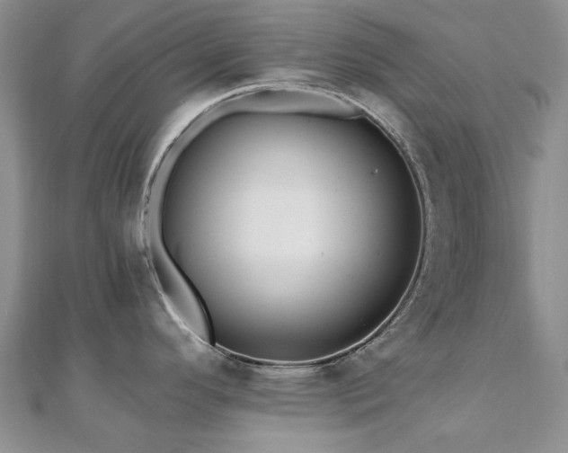 X0000110871296200906181154