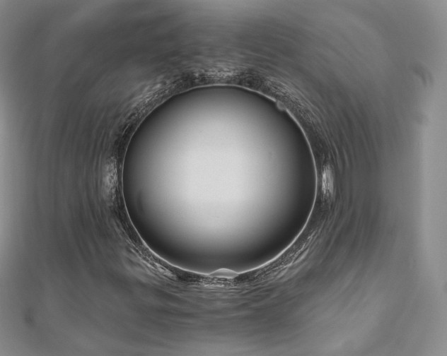 X0000110871299200906181153