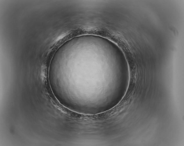 X0000110871301200906181154