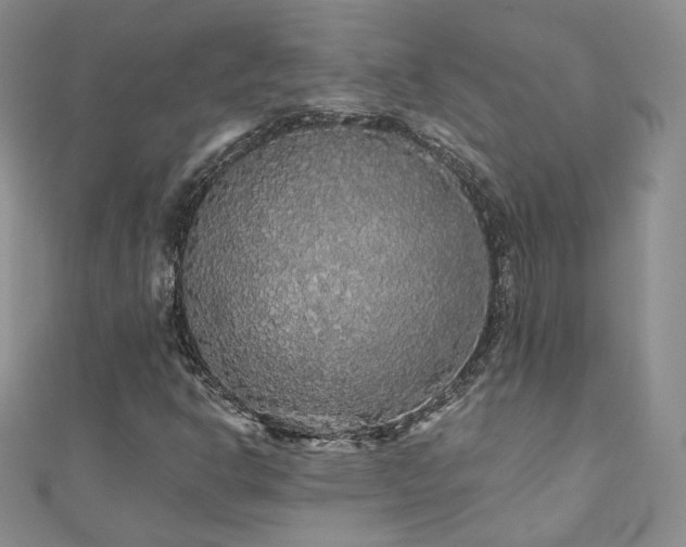 X0000110871302200906181154