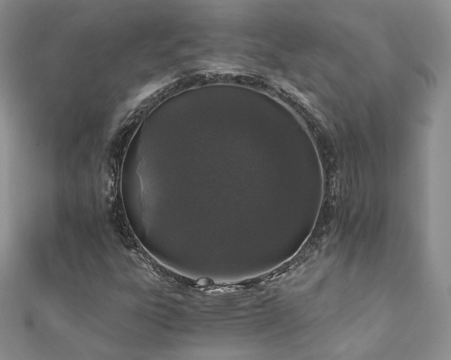 X0000110871303200906181154