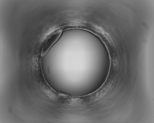 X0000110871304200906181154