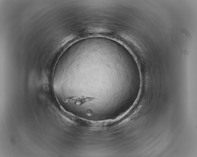 X0000110871305200906181154