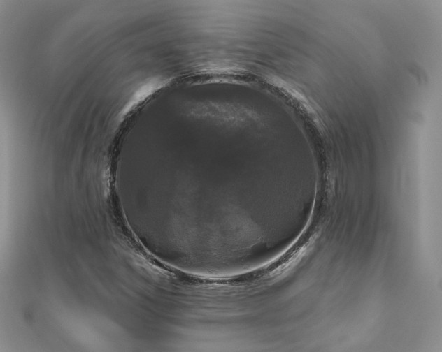 X0000110871306200906181154