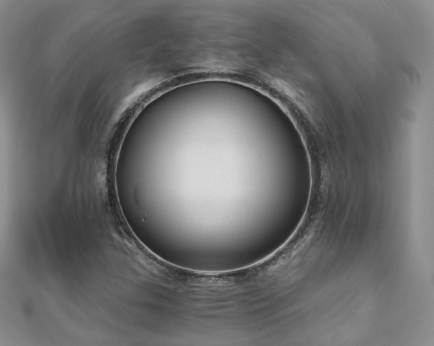 X0000110871307200906181154