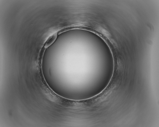 X0000110871308200906181154