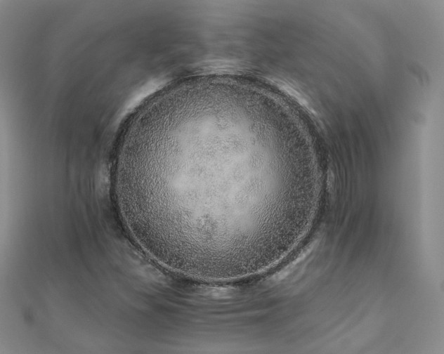 X0000110871309200906181154